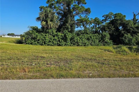 Land in Cape Coral, Florida № 1388586 - photo 1