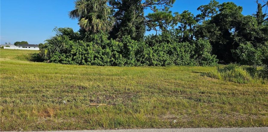 Land in Cape Coral, Florida № 1388586