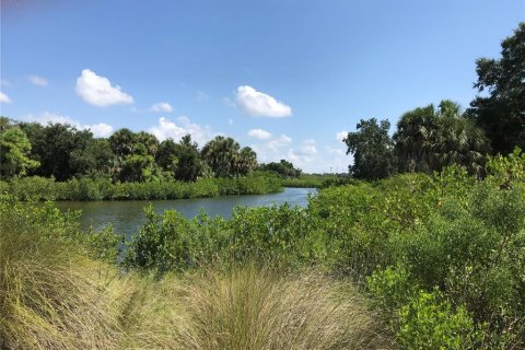 Terreno en venta en Saint Petersburg, Florida № 1312325 - foto 10