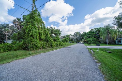 Land in Venice, Florida № 1371533 - photo 9