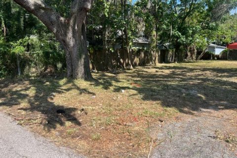 Terreno en venta en Tampa, Florida № 1341669 - foto 4