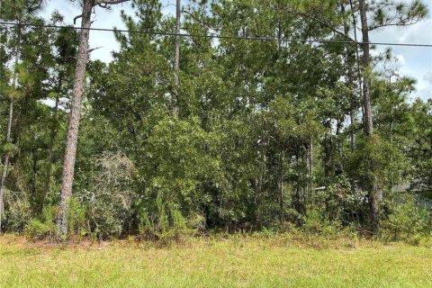 Land in Ocala, Florida № 1392688 - photo 1