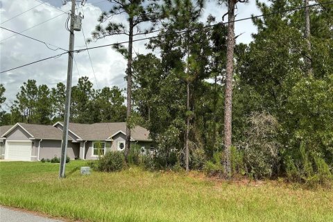 Terrain à vendre à Ocala, Floride № 1392688 - photo 2