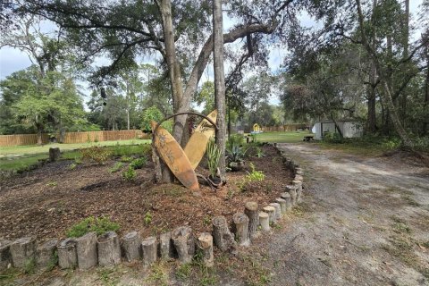 Land in Old Town, Florida № 1357853 - photo 20