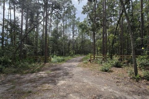 Land in Old Town, Florida № 1357853 - photo 19