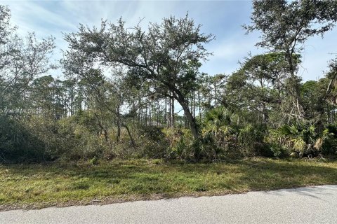 Terreno en venta en Port Charlotte, Florida № 1146777 - foto 1