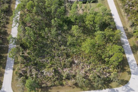 Terreno en venta en Port Charlotte, Florida № 1146777 - foto 3