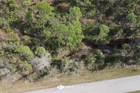 Terreno en venta en Port Charlotte, Florida № 1146777 - foto 6