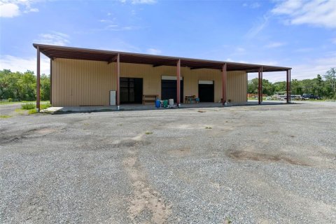 Commercial property in Hudson, Florida 1003.34 sq.m. № 1401837 - photo 7