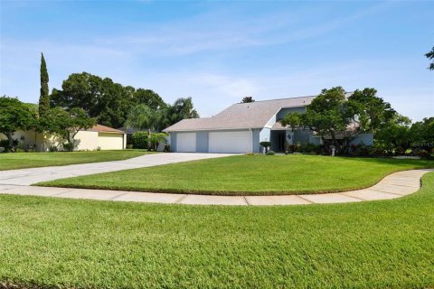 House in Tampa, Florida 5 bedrooms, 288 sq.m. № 1336813 - photo 3