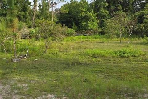 Terreno en venta en Okeechobee, Florida № 1313136 - foto 13