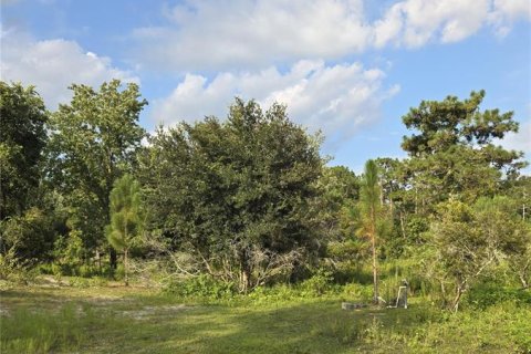 Terreno en venta en Okeechobee, Florida № 1313136 - foto 12