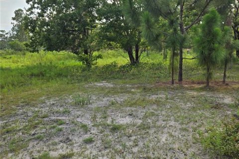 Terreno en venta en Okeechobee, Florida № 1313136 - foto 9