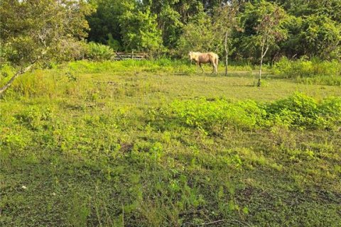 Terreno en venta en Okeechobee, Florida № 1313136 - foto 5