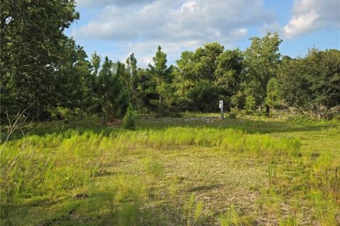 Terreno en venta en Okeechobee, Florida № 1313136 - foto 11