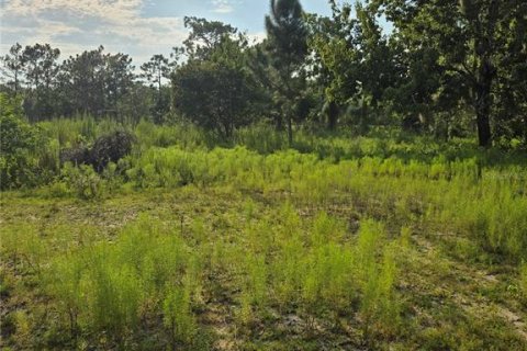 Terrain à vendre à Okeechobee, Floride № 1313136 - photo 6