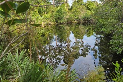 Terreno en venta en Okeechobee, Florida № 1313136 - foto 3