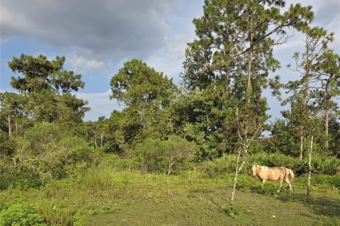 Land in Okeechobee, Florida № 1313136 - photo 10