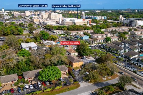 Immobilier commercial à vendre à Tampa, Floride: 8 chambres, 318.84 m2 № 1115901 - photo 2