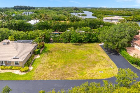 Land in Hobe Sound, Florida № 1118659 - photo 14