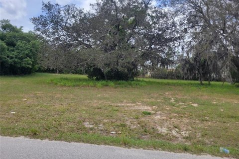 Terrain à vendre à Sebring, Floride № 1085458 - photo 4