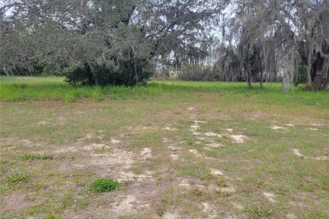 Land in Sebring, Florida № 1085458 - photo 1