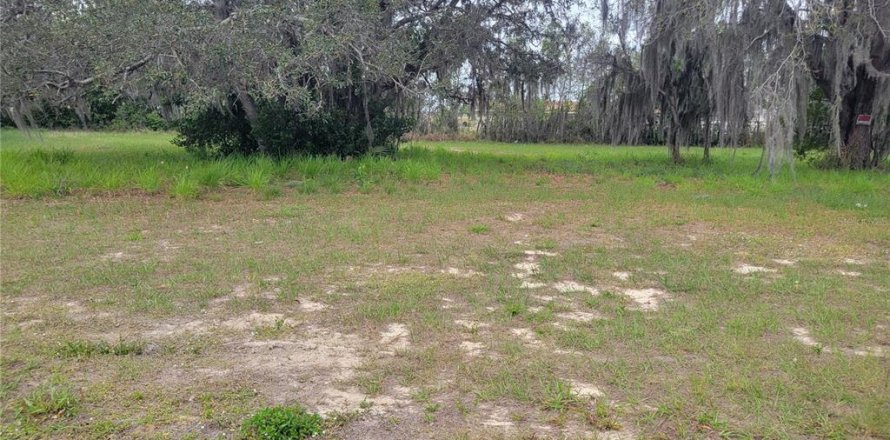 Land in Sebring, Florida № 1085458