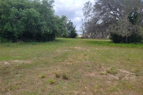 Terrain à vendre à Sebring, Floride № 1085458 - photo 5