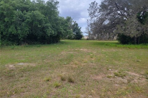 Terrain à vendre à Sebring, Floride № 1085458 - photo 6