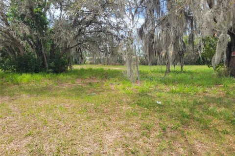 Terrain à vendre à Sebring, Floride № 1085458 - photo 7