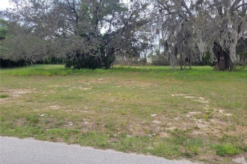 Land in Sebring, Florida № 1085458 - photo 3