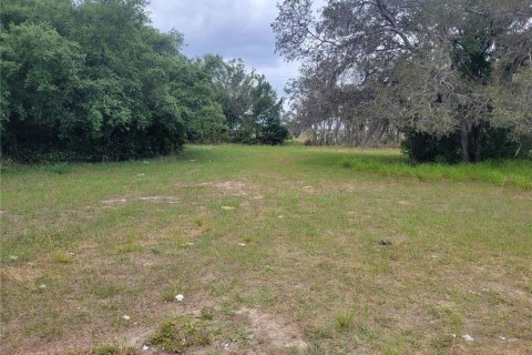 Land in Sebring, Florida № 1085458 - photo 2