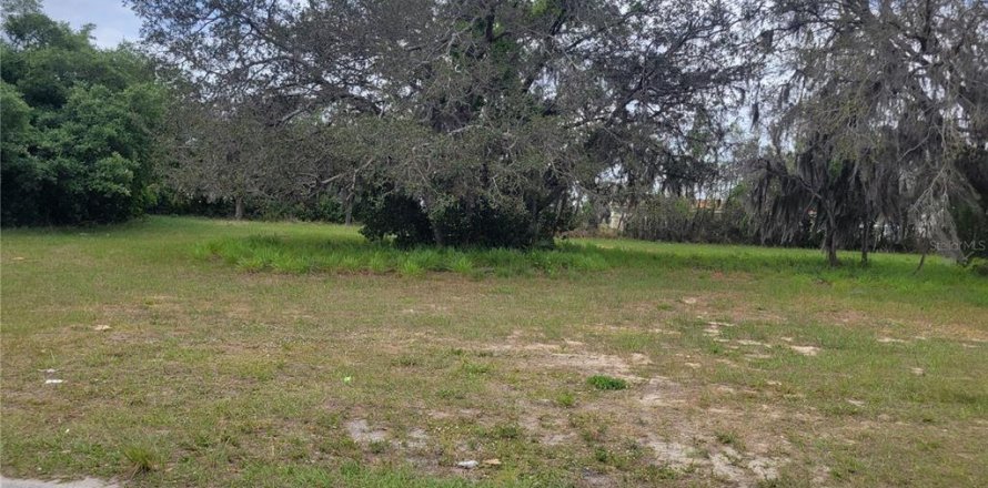 Land in Sebring, Florida № 1085459