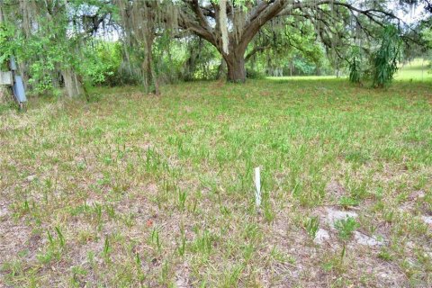 Terreno en venta en Davenport, Florida № 1149788 - foto 6