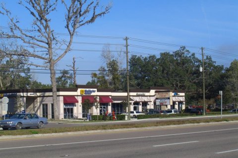 Land in Brooksville, Florida № 1316839 - photo 5