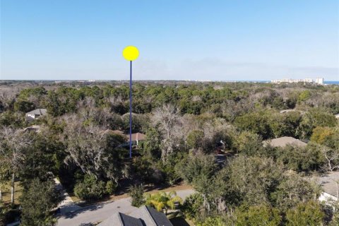 Terrain à vendre à Palm Coast, Floride № 265915 - photo 3