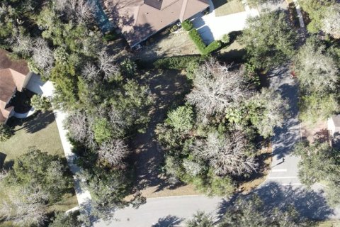 Terrain à vendre à Palm Coast, Floride № 265915 - photo 8