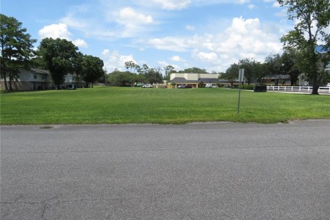 Land in Dade City, Florida № 1296161 - photo 1