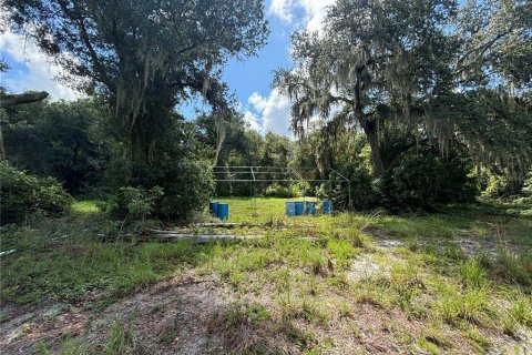 Terreno en venta en Groveland, Florida № 1316967 - foto 8