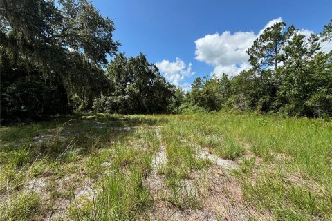 Terrain à vendre à Groveland, Floride № 1316967 - photo 10