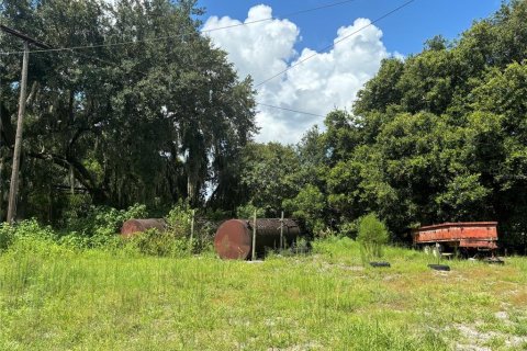 Land in Groveland, Florida № 1316967 - photo 16