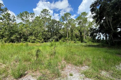 Terreno en venta en Groveland, Florida № 1316967 - foto 9