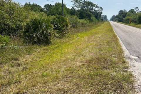 Terrain à vendre à Clewiston, Floride № 1127550 - photo 3