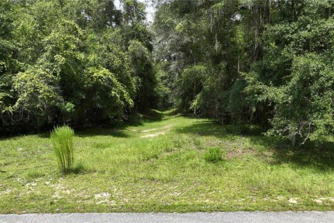 Terreno en venta en Brooksville, Florida № 1372003 - foto 6