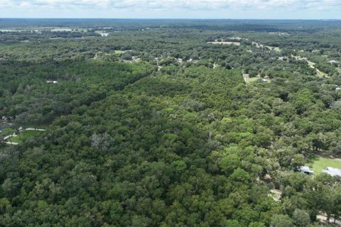 Land in Brooksville, Florida № 1372003 - photo 21