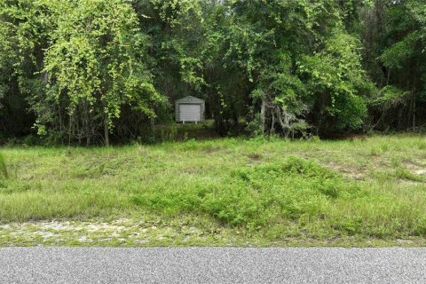 Land in Brooksville, Florida № 1372003 - photo 29