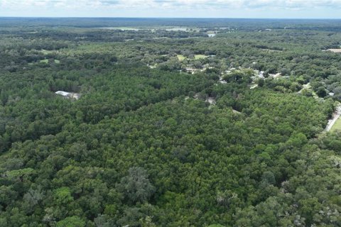 Terreno en venta en Brooksville, Florida № 1372003 - foto 22