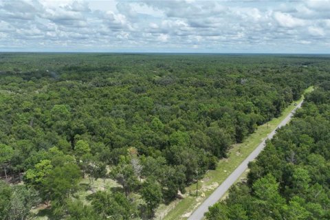 Terreno en venta en Brooksville, Florida № 1372003 - foto 13