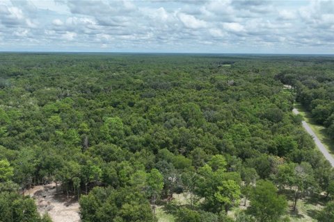 Land in Brooksville, Florida № 1372003 - photo 14