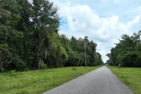 Terreno en venta en Brooksville, Florida № 1372003 - foto 28